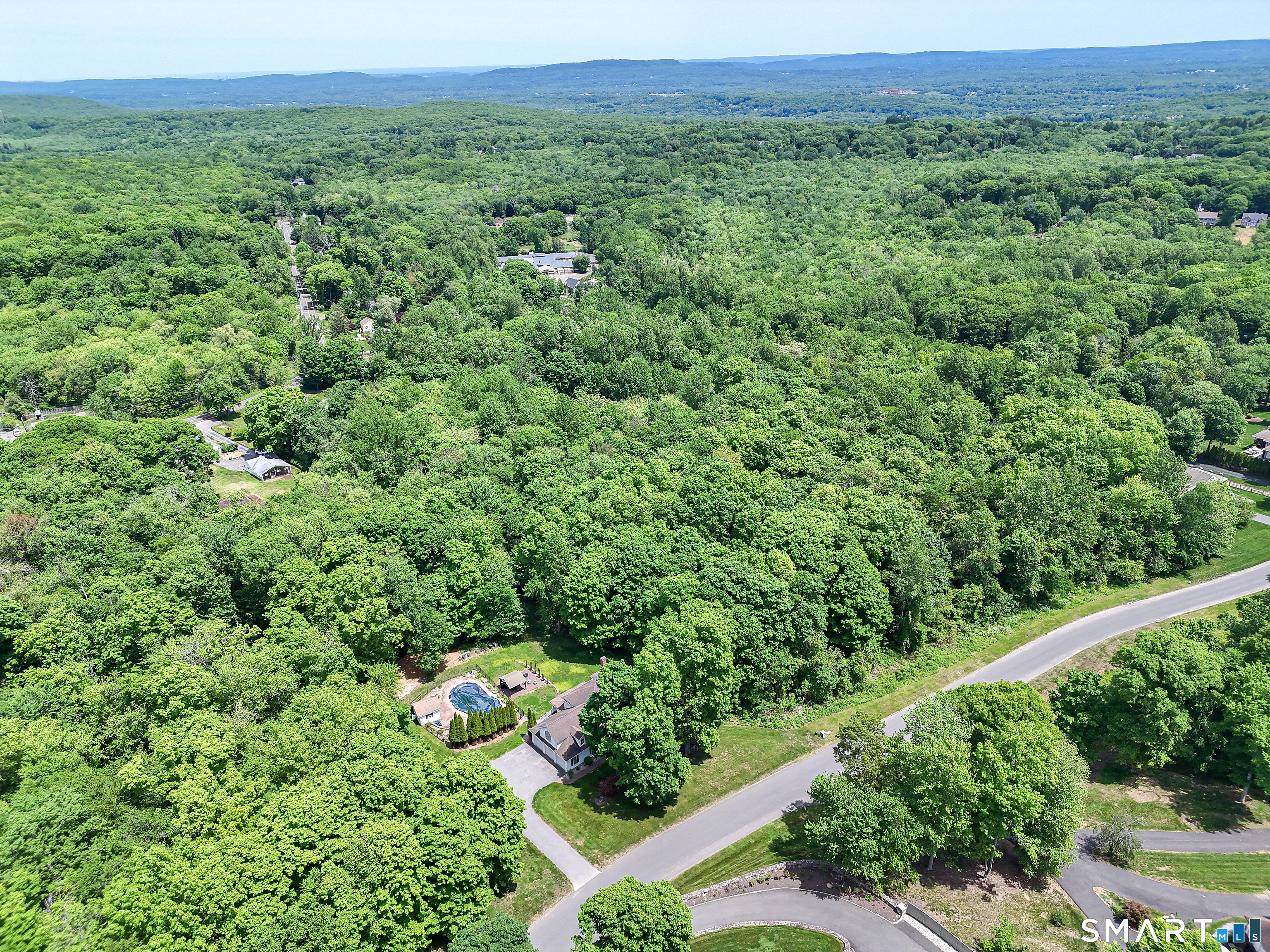 7 Holley Lane Prospect, CT 06712 - Photo 24 of 30 a view of a lush green forest with lots of trees