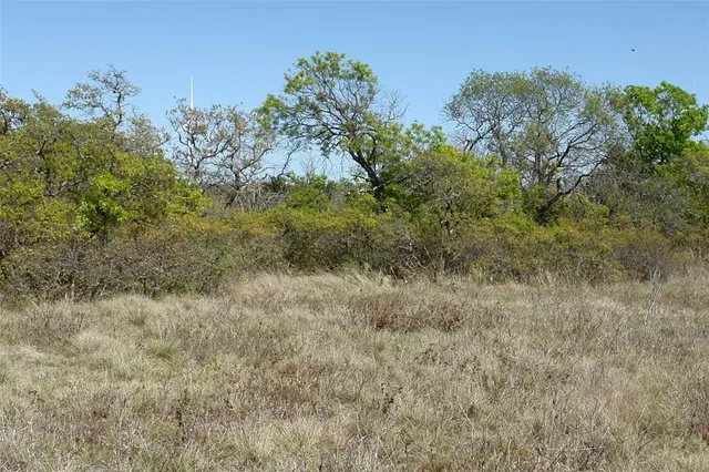 a view of a field of grass and trees