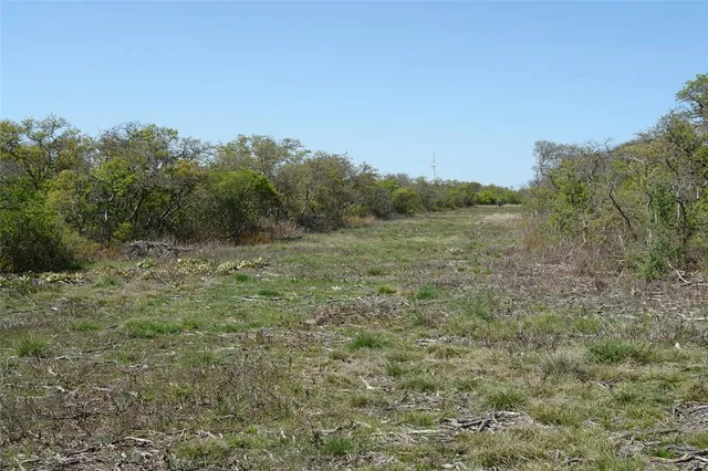 a view of a field with trees in background