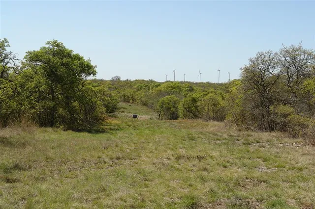 a view of a field with trees in the background