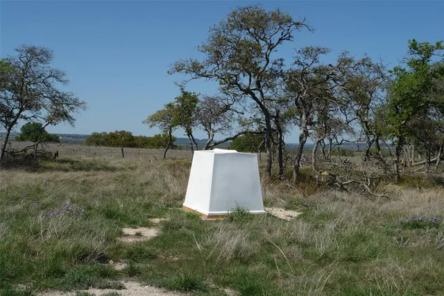 a view of backyard with large trees