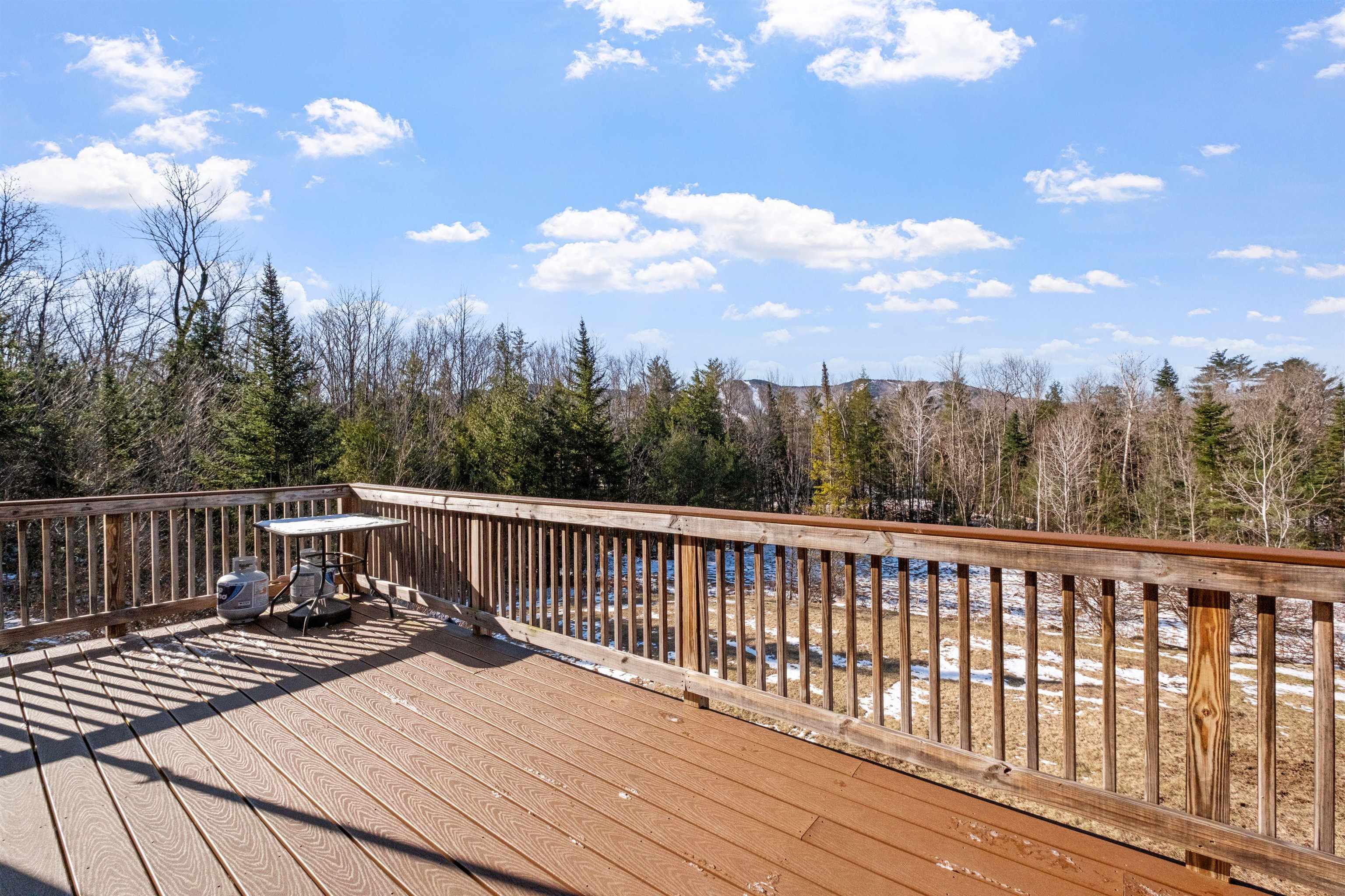 59 Littlefield Road Danbury, NH 03230 - Photo 27 of 39