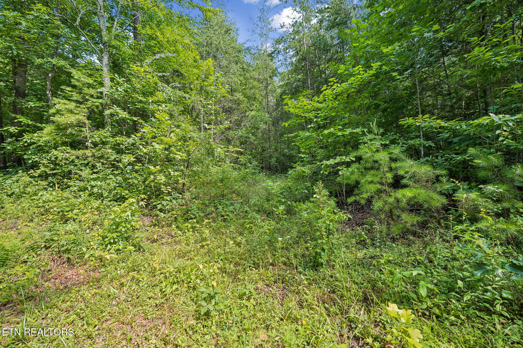 Ridge Road Lancing, TN 37770 - Photo 2 of 18 1-130 Ridge Rd - 001