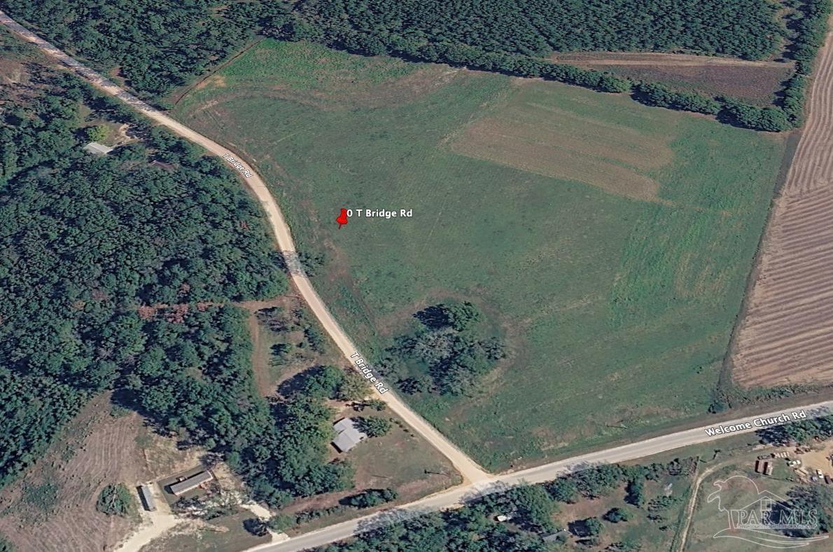 Lot 2-0 T Bridge Road Red Level, AL 36474 - Photo 4 of 9