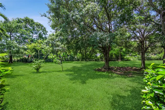 a view of park space