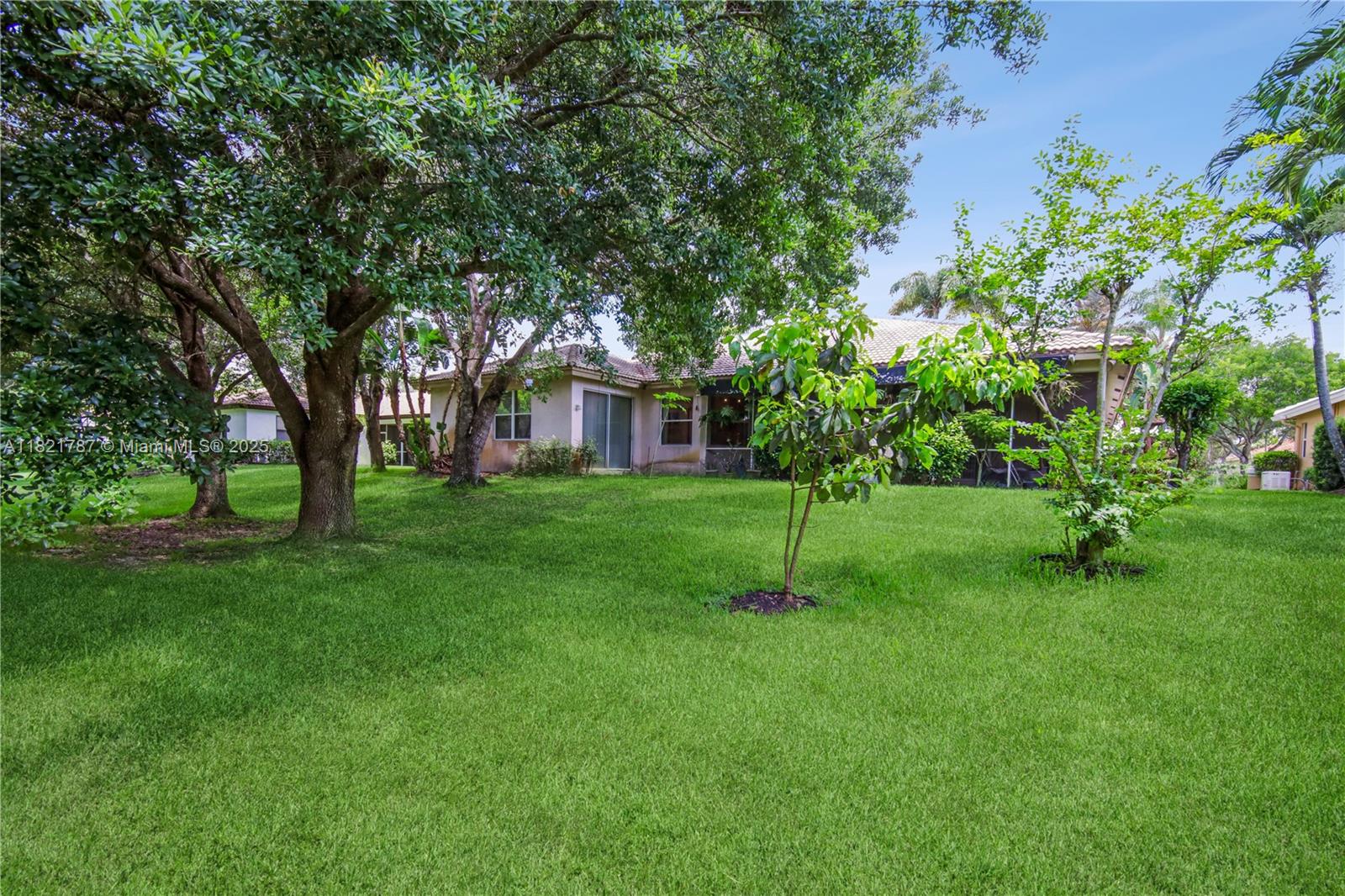 12620 Countryside Terrace Cooper City, FL 33330 - Photo 34 of 40 a house with a tree in the grass