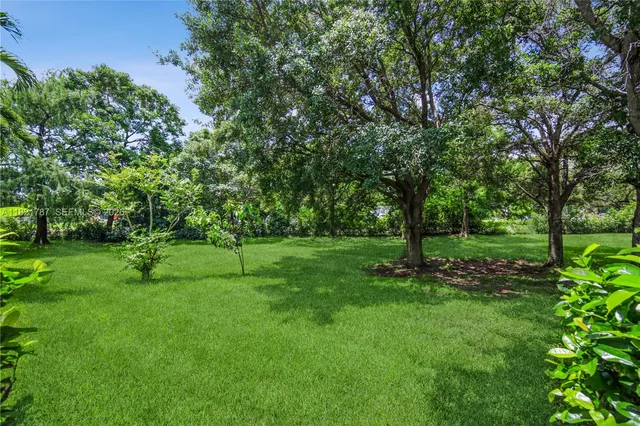 a view of park space