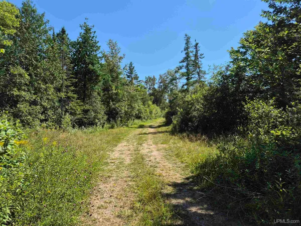 $250,000 | 160-acres Halverson Road, Gulliver, MI 49840