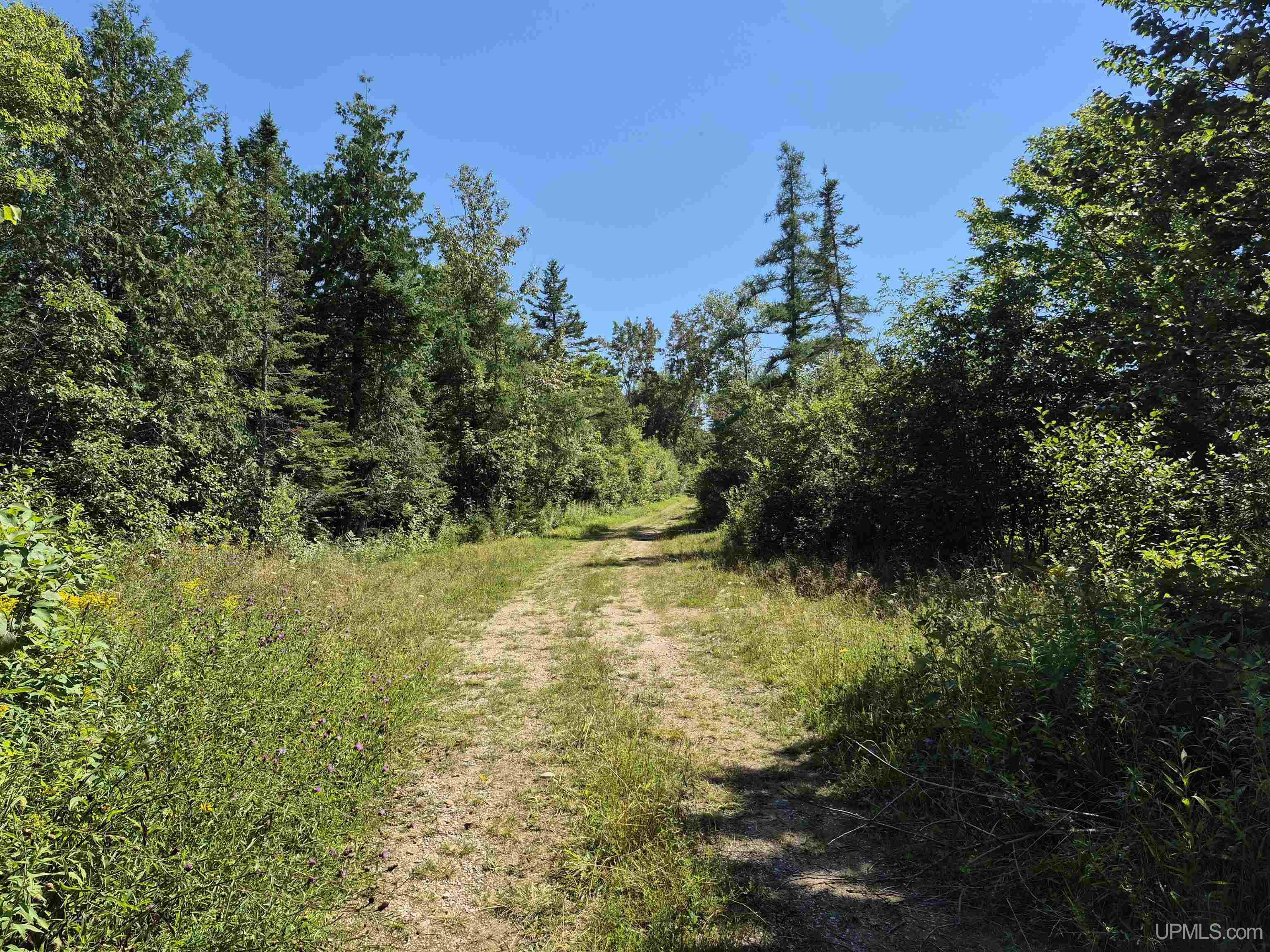 160-acres Halverson Road Gulliver, MI 49840 - Photo 1 of 35