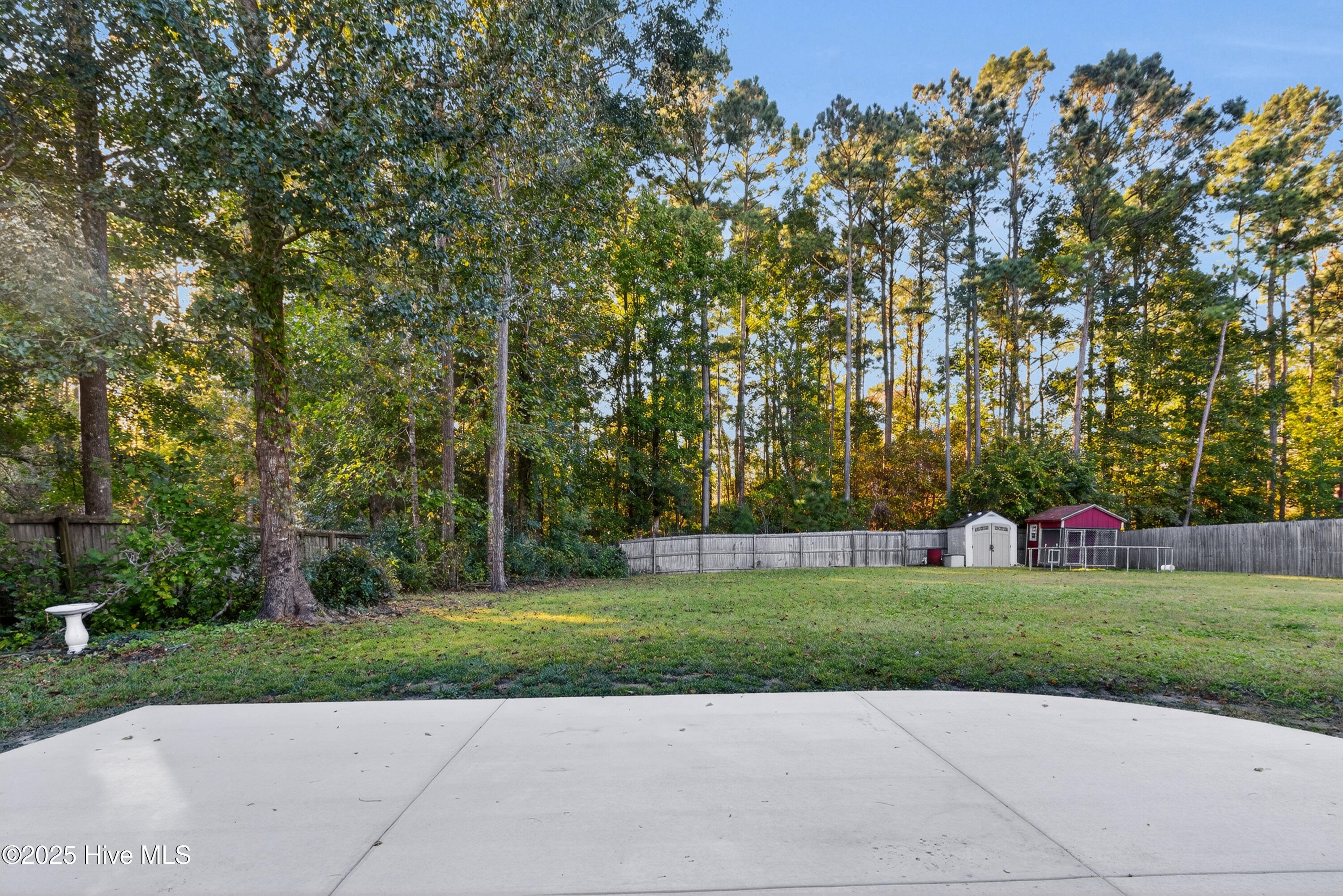 117 Cedar Ridge Drive Maysville, NC 28555 - Photo 42 of 49 46_img_0121