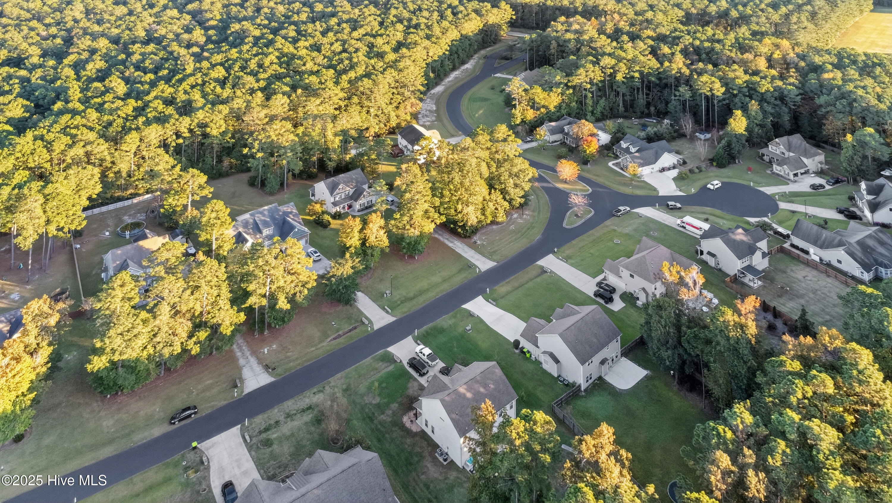 117 Cedar Ridge Drive Maysville, NC 28555 - Photo 48 of 49 40_dji_0867