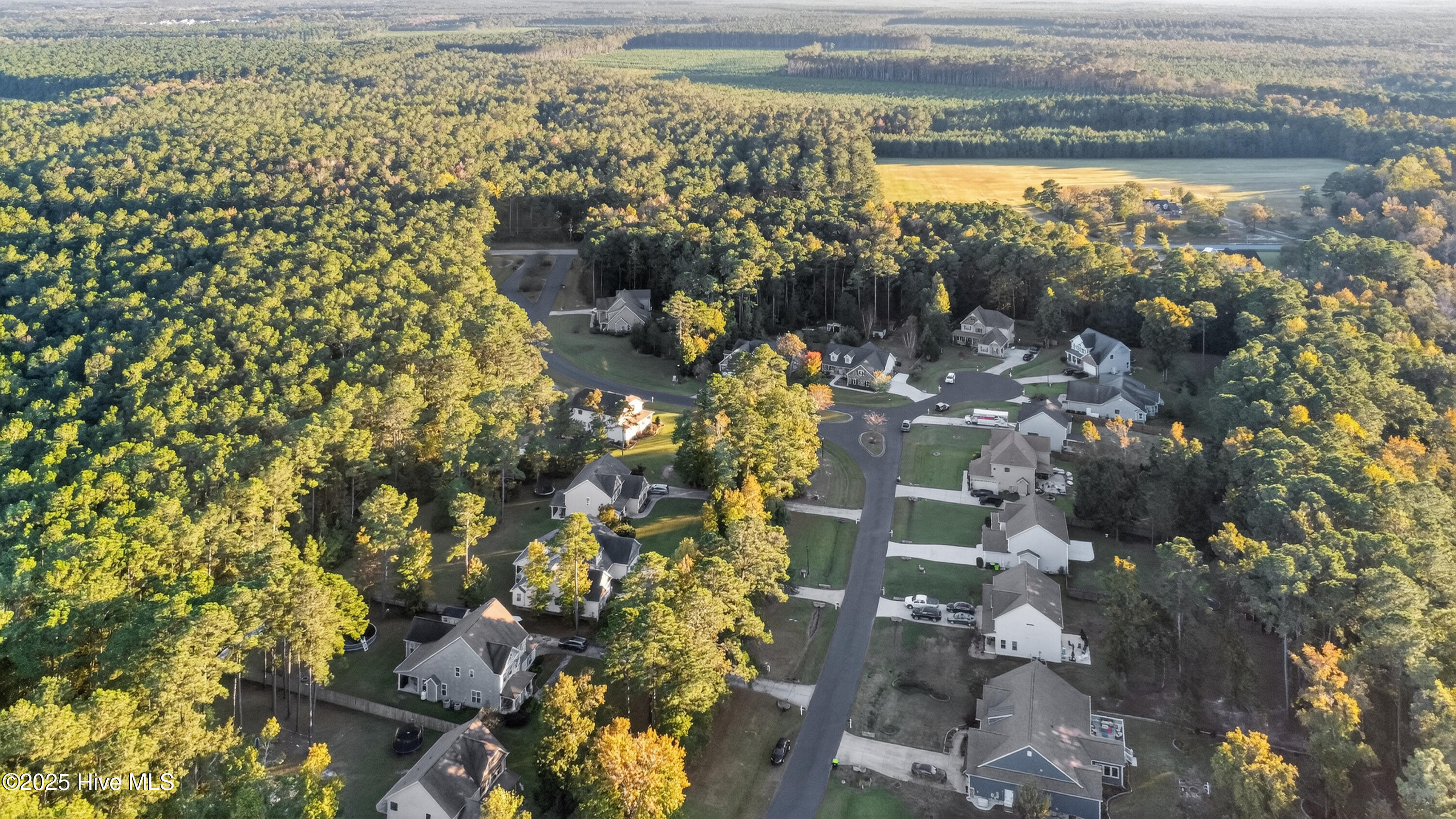 117 Cedar Ridge Drive Maysville, NC 28555 - Photo 49 of 49 41_dji_0871