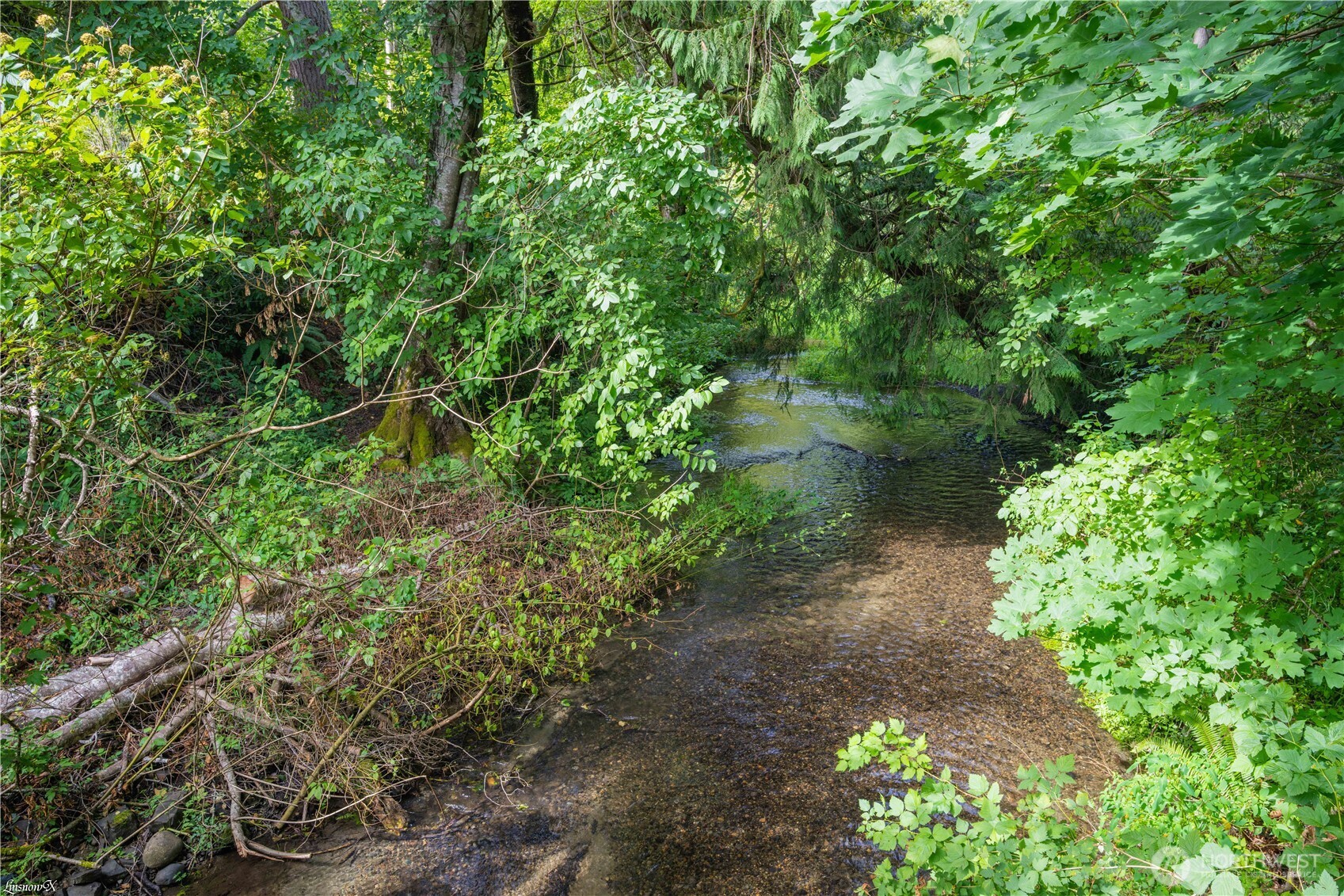2104 Mark Street Northeast Lacey, WA 98516 - Photo 6 of 20