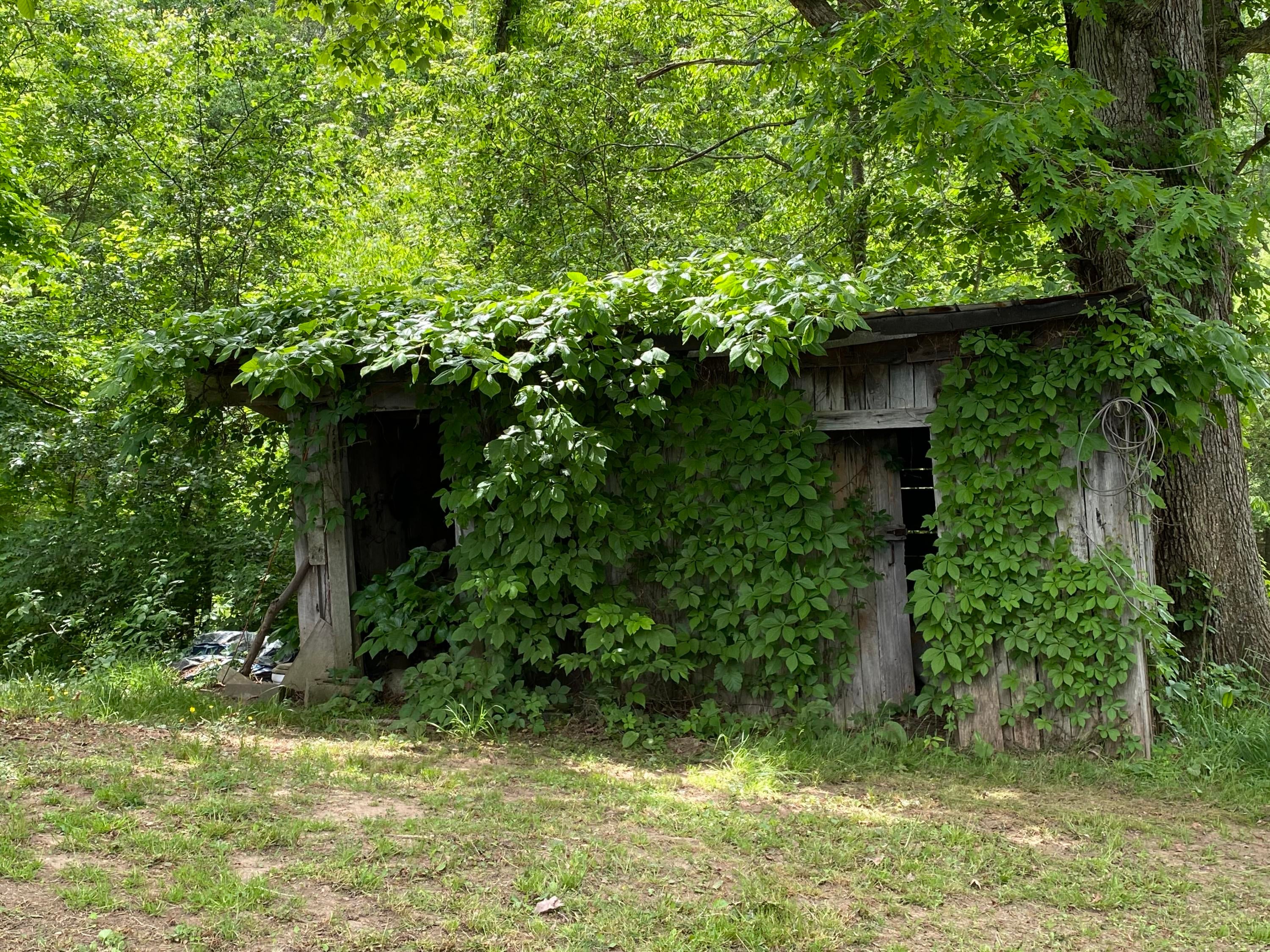 542 Slab Camp Road Renick, WV 24966 - Photo 55 of 65 Gallery Image 55