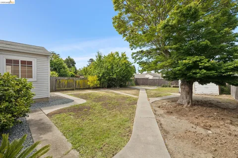 a view of a backyard