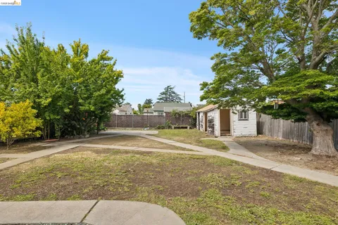 a view of a yard with plants and trees
