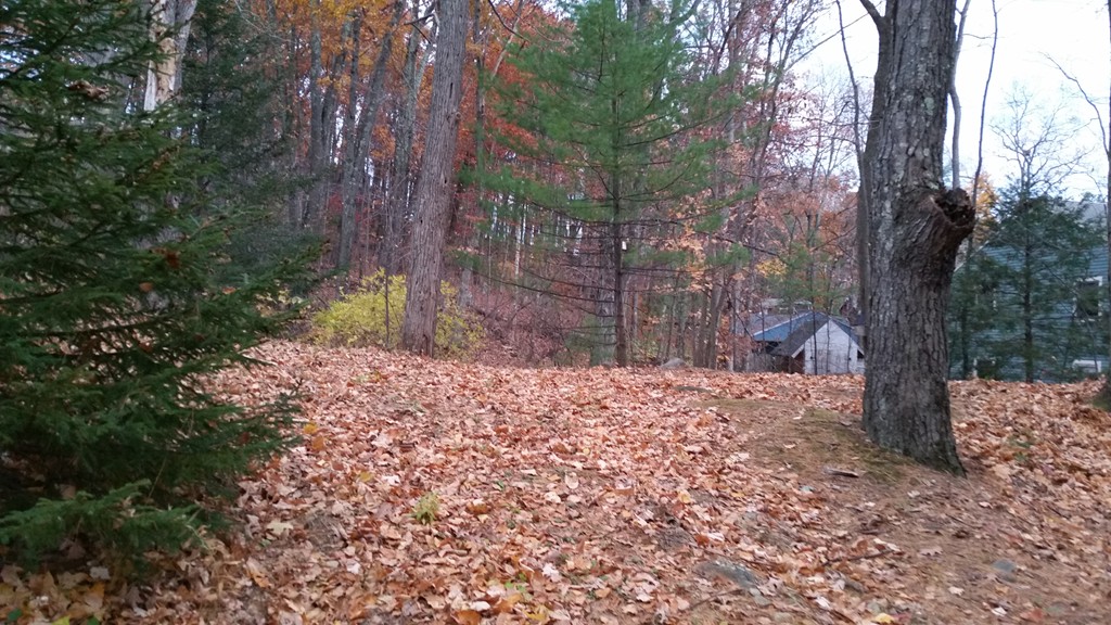 14 Dawson Road Worcester, MA 01602 - Photo 4 of 4 Gallery Image 4