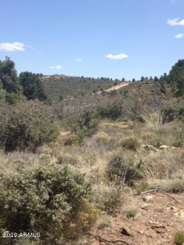 0 Ruger Ranch Road Kirkland, AZ 86332 - Photo 3 of 9 peeples 8