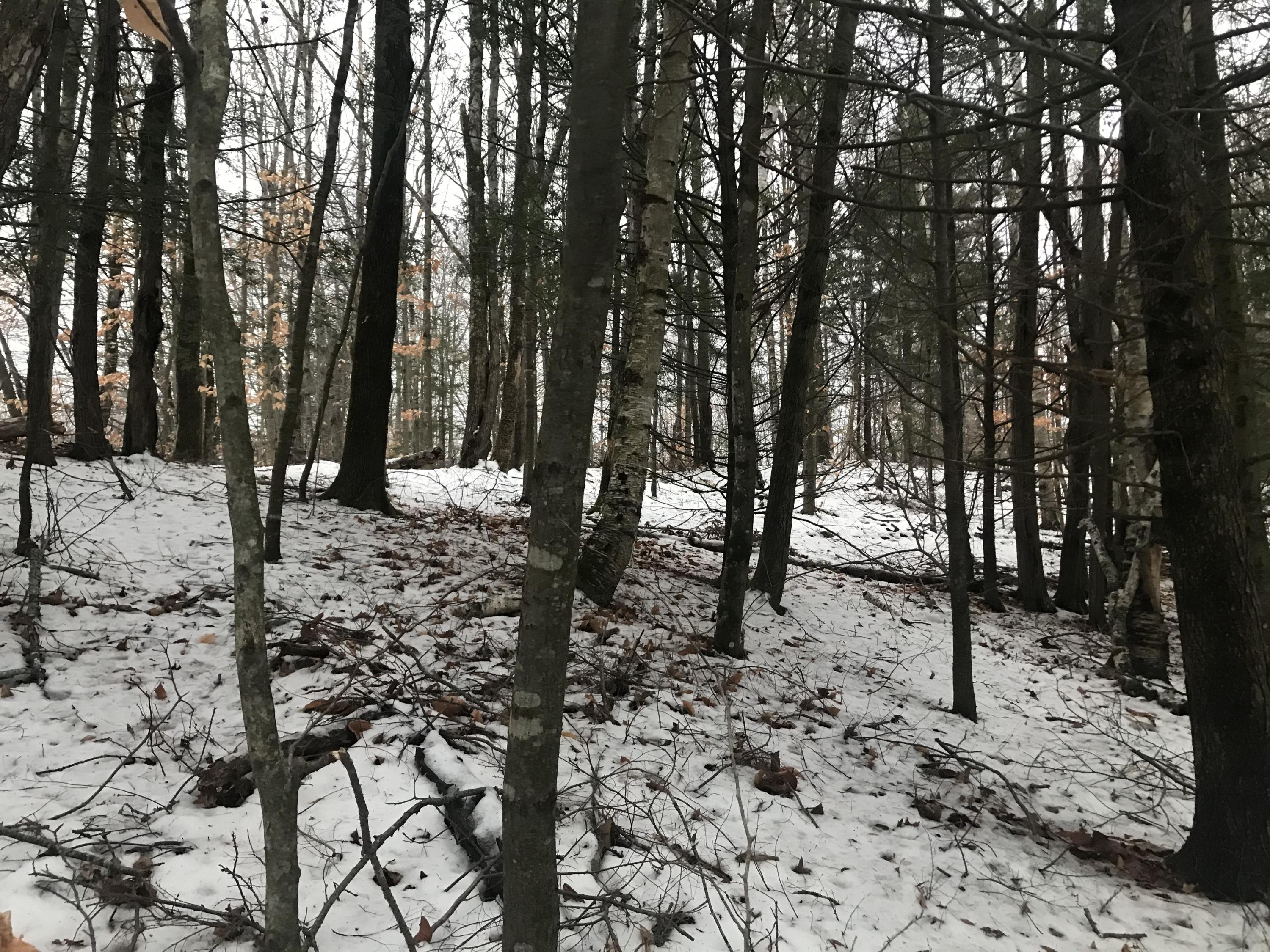 0 Gardiner Road Wales, ME 04280 - Photo 3 of 10 IMG_7139