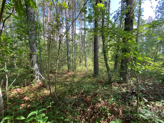 $749,000 | 0 Jackson White Road, Lawndale, NC 28090