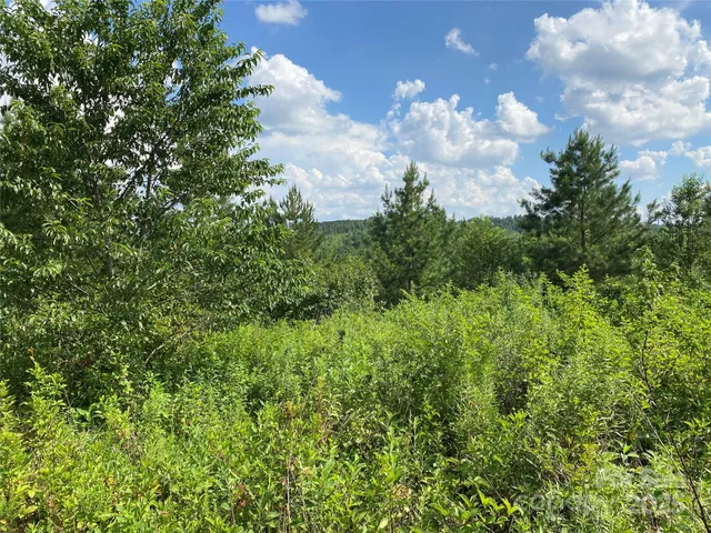 $749,000 | 0 Jackson White Road, Lawndale, NC 28090