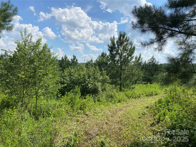 $749,000 | 0 Jackson White Road, Lawndale, NC 28090