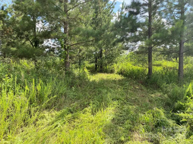 $749,000 | 0 Jackson White Road, Lawndale, NC 28090