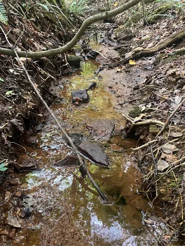 $749,000 | 0 Jackson White Road, Lawndale, NC 28090