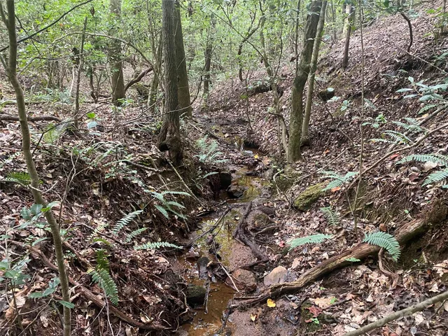 $749,000 | 0 Jackson White Road, Lawndale, NC 28090