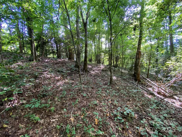 $749,000 | 0 Jackson White Road, Lawndale, NC 28090