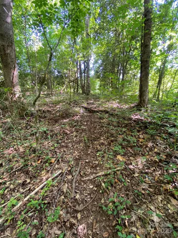 $749,000 | 0 Jackson White Road, Lawndale, NC 28090