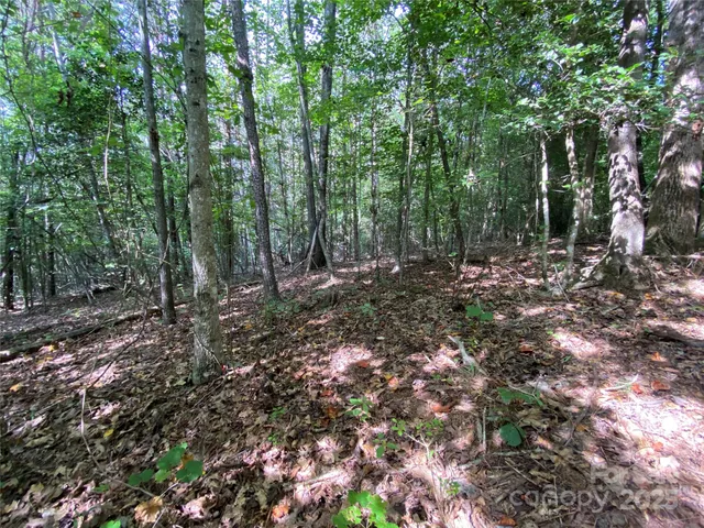 $749,000 | 0 Jackson White Road, Lawndale, NC 28090