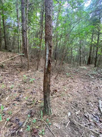 $749,000 | 0 Jackson White Road, Lawndale, NC 28090