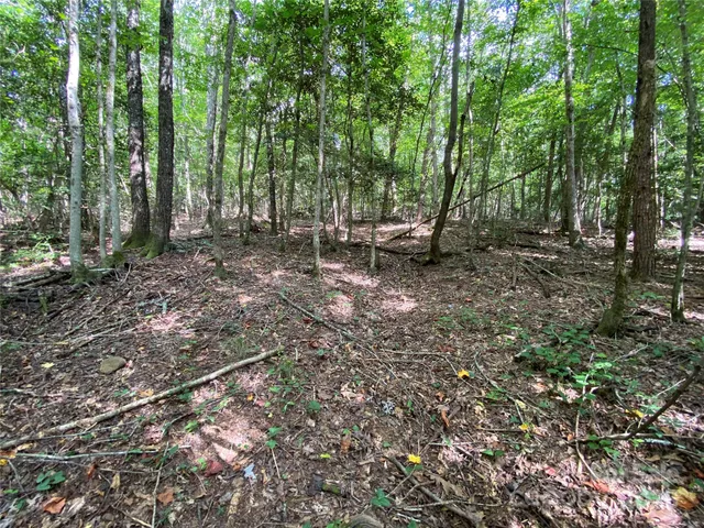 $749,000 | 0 Jackson White Road, Lawndale, NC 28090