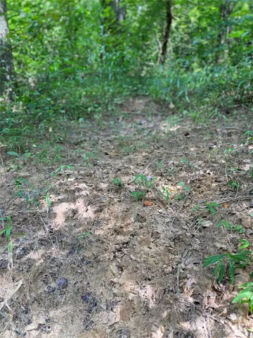 $749,000 | 0 Jackson White Road, Lawndale, NC 28090