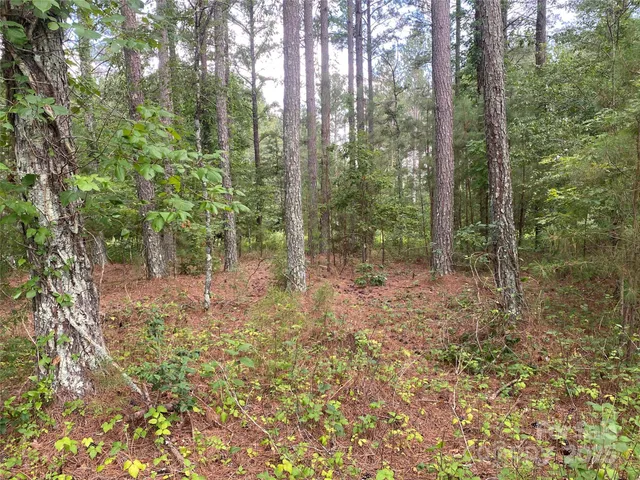 $749,000 | 0 Jackson White Road, Lawndale, NC 28090