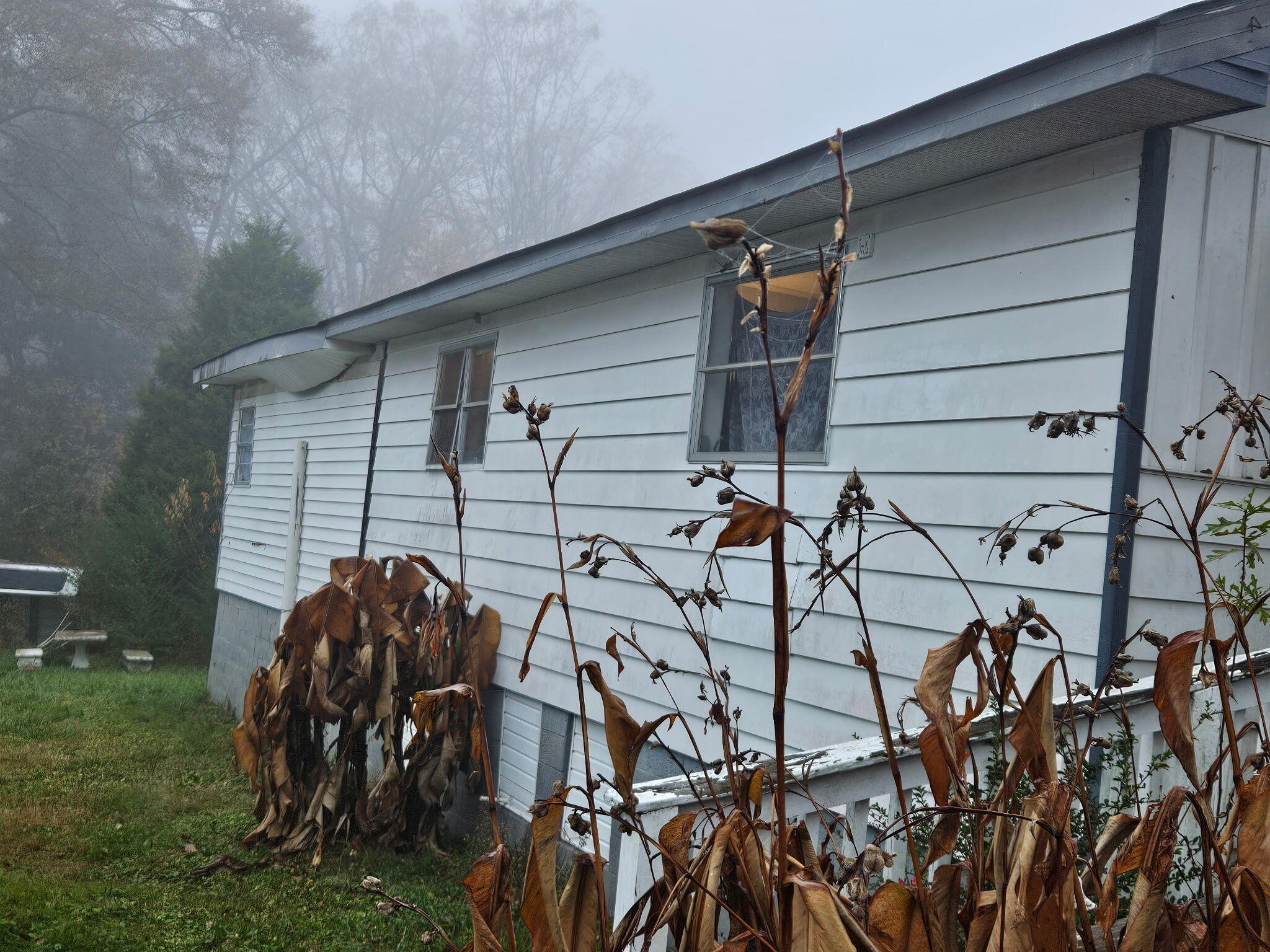 408 Chestnut Street LaFayette, GA 30728 - Photo 12 of 22 1000011932