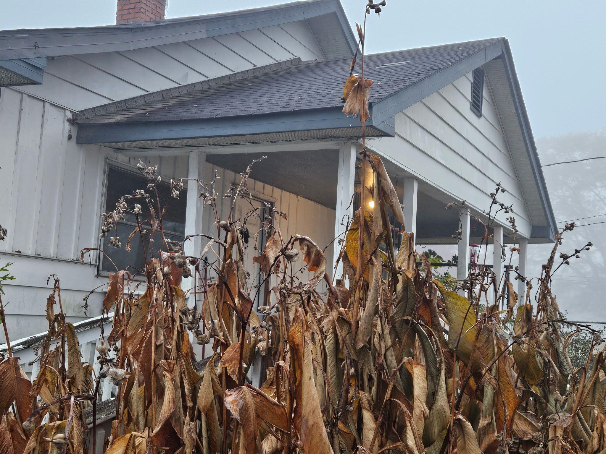 408 Chestnut Street LaFayette, GA 30728 - Photo 13 of 22 1000011931