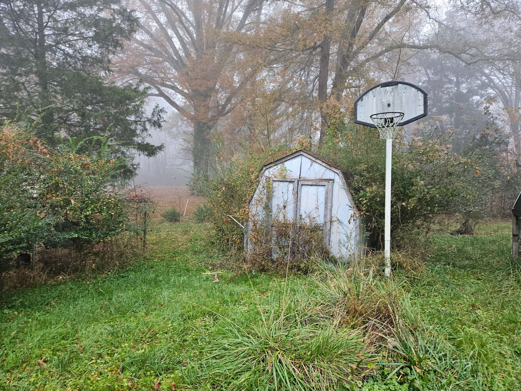 408 Chestnut Street LaFayette, GA 30728 - Photo 17 of 22 1000011927