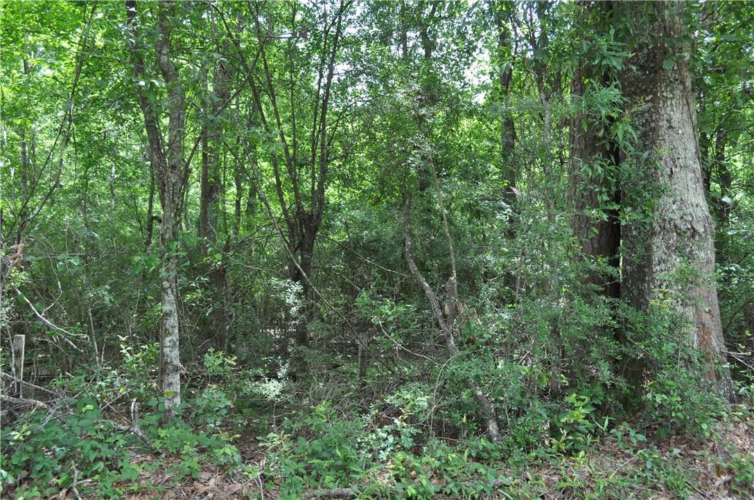 3 Elmo Bickham Road Bogalusa, LA 70427 - Photo 1 of 6 Gallery Image 1