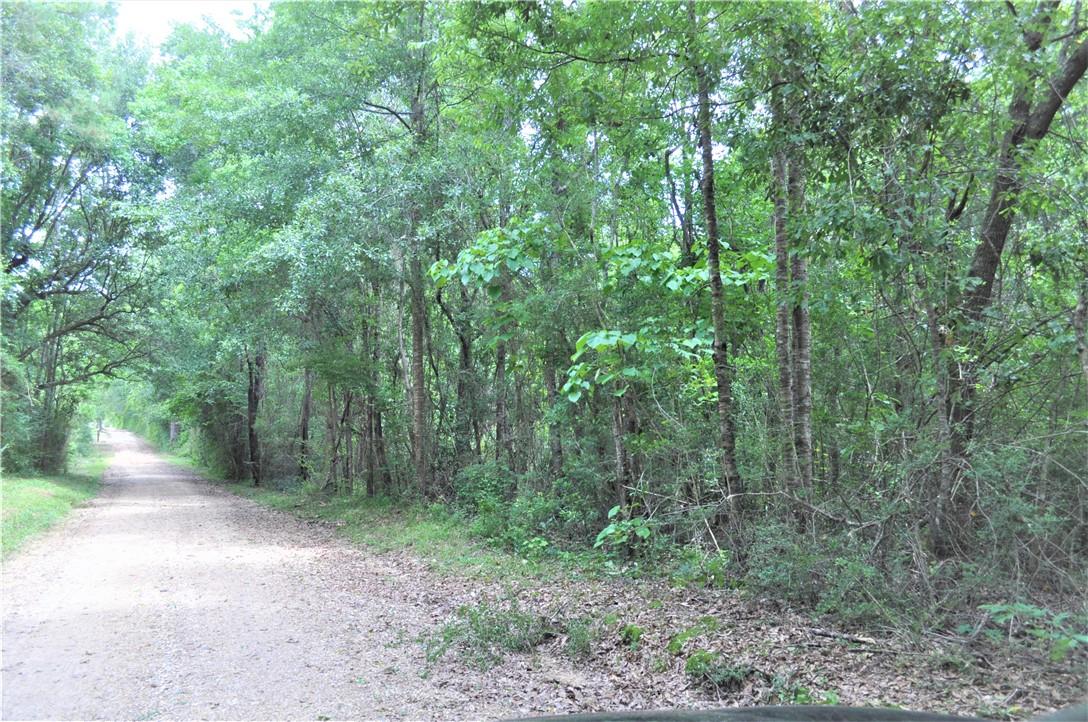 3 Elmo Bickham Road Bogalusa, LA 70427 - Photo 3 of 6 Gallery Image 3