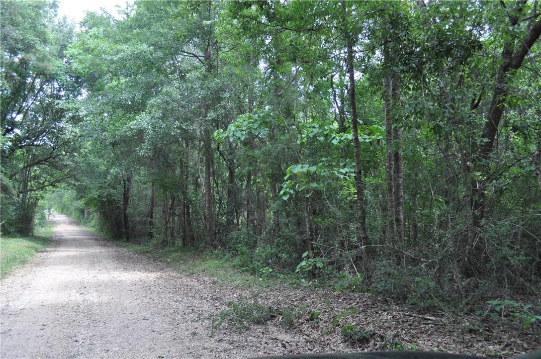 3 Elmo Bickham Road Bogalusa, LA 70427 - Photo 4 of 6 Gallery Image 4