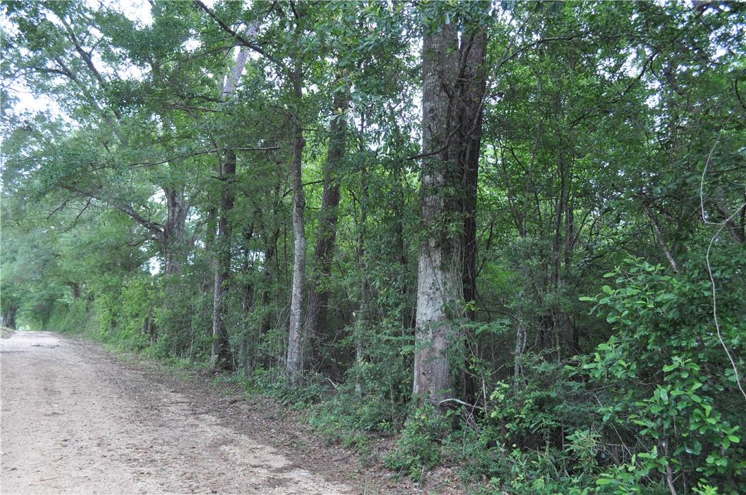 3 Elmo Bickham Road Bogalusa, LA 70427 - Photo 5 of 6 Gallery Image 5