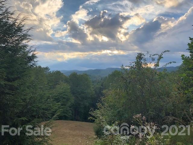 401 West Ridge Drive Ferguson, NC 28624 - Photo 1 of 36 a view of a city with lush green forest