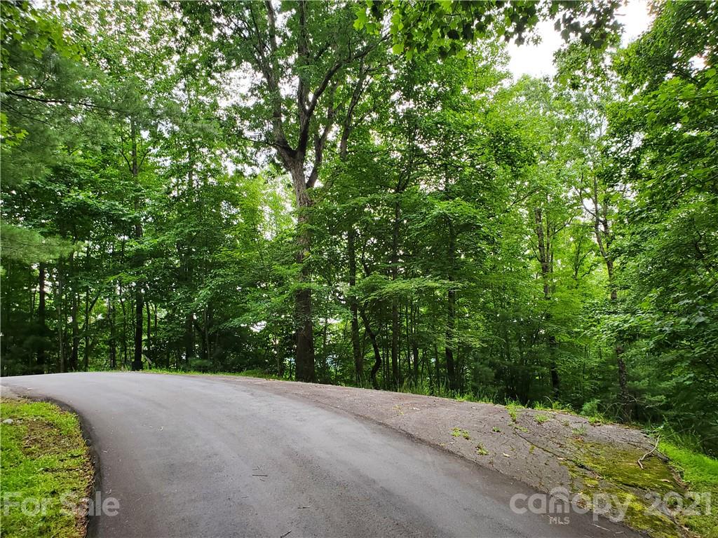 401 West Ridge Drive Ferguson, NC 28624 - Photo 14 of 36 a view of a road with a plants