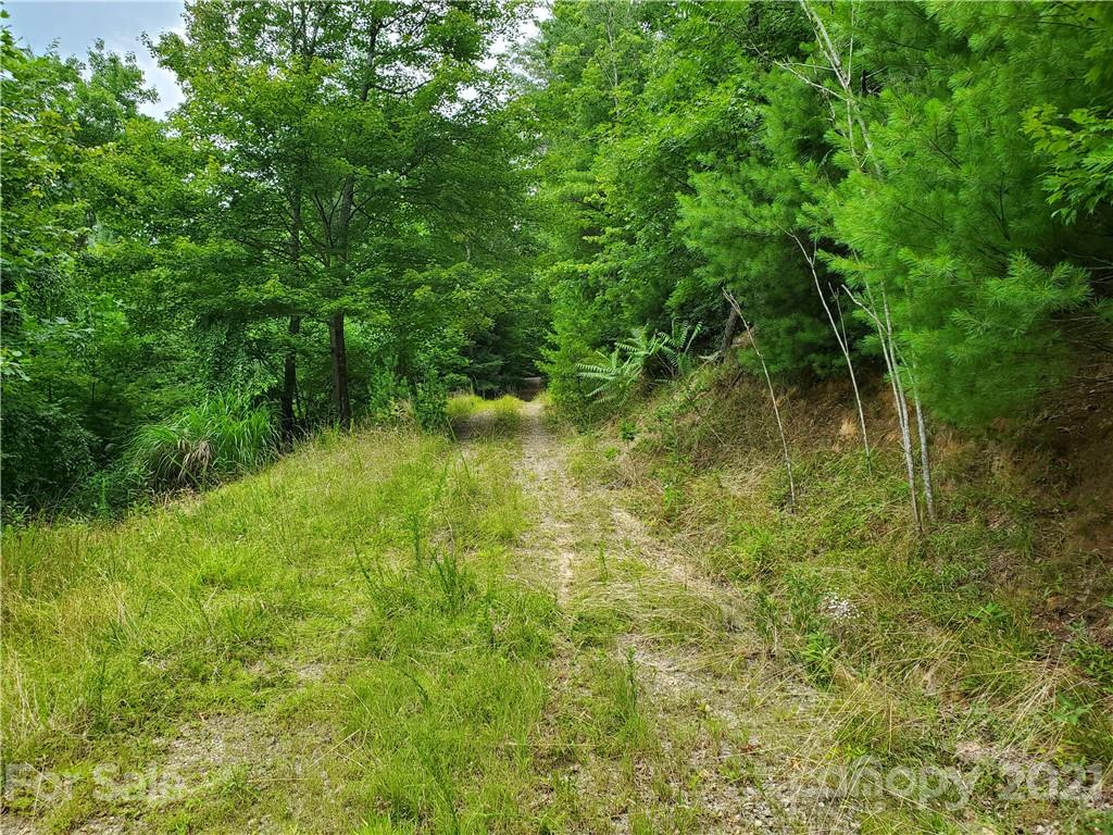 401 West Ridge Drive Ferguson, NC 28624 - Photo 18 of 36 a view of a lush green space