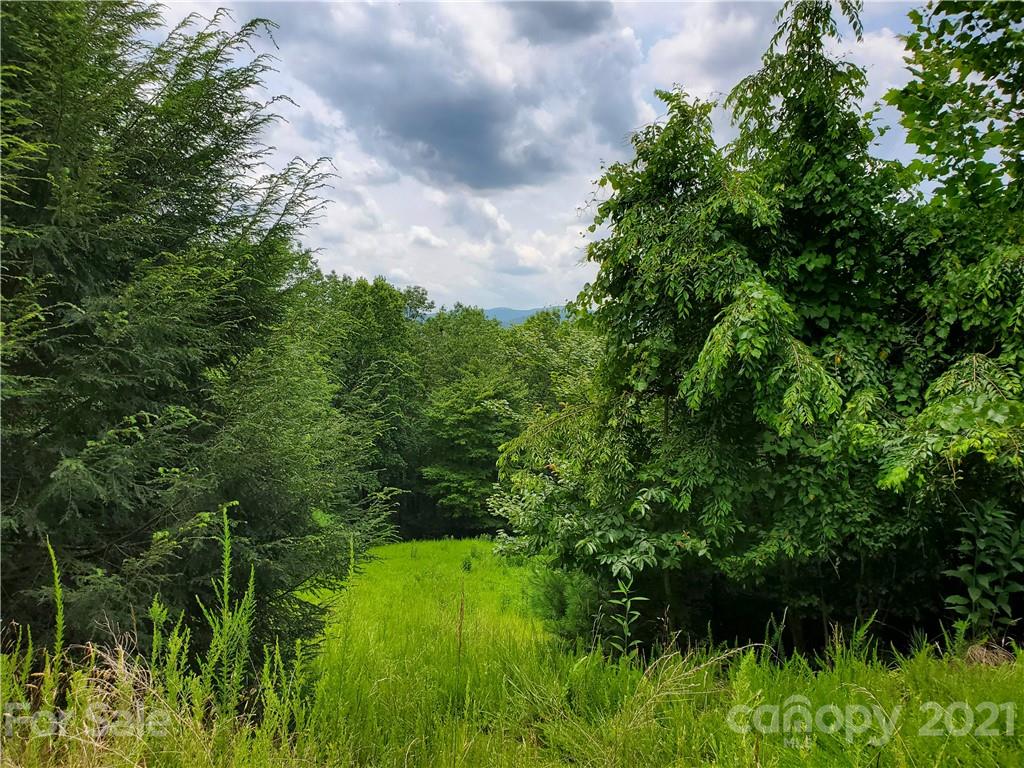 401 West Ridge Drive Ferguson, NC 28624 - Photo 20 of 36 a backyard of a house with lots of green space