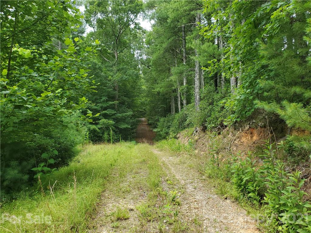 401 West Ridge Drive Ferguson, NC 28624 - Photo 21 of 36 a view of a garden