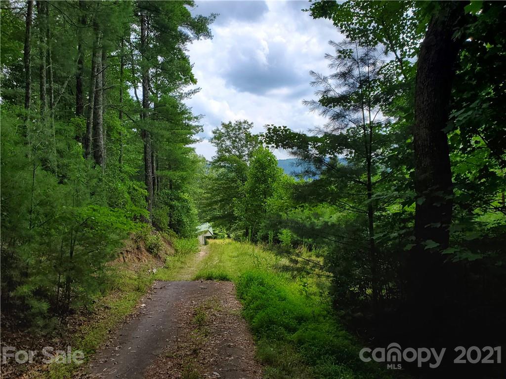 401 West Ridge Drive Ferguson, NC 28624 - Photo 22 of 36 a view of a yard