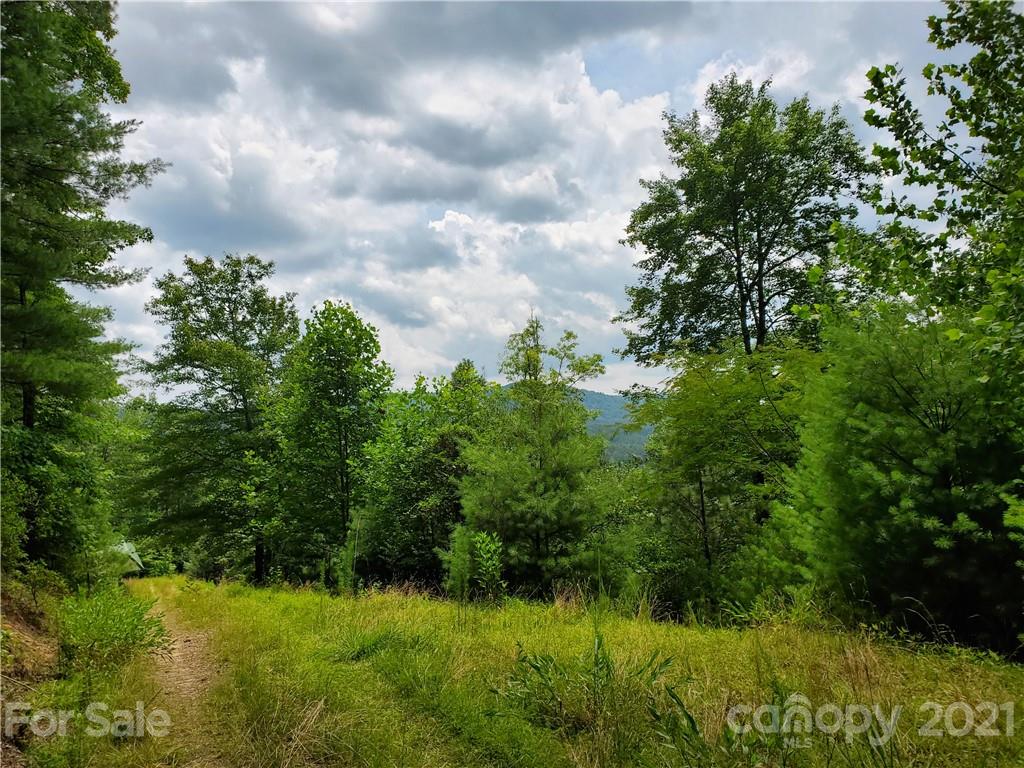 401 West Ridge Drive Ferguson, NC 28624 - Photo 23 of 36 a view of a garden